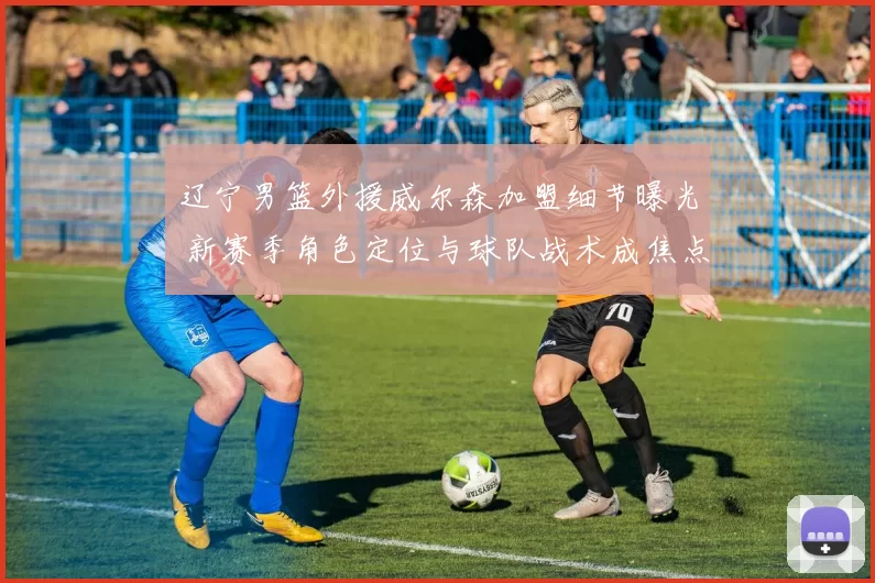 辽宁男篮外援威尔森加盟细节曝光 新赛季角色定位与球队战术成焦点