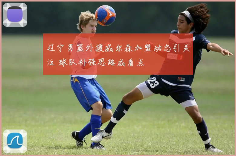 辽宁男篮外援威尔森加盟动态引关注 球队补强思路成看点