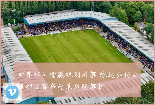 世界杯买输赢规则详解 球迷如何合理押注赛事结果风险解析